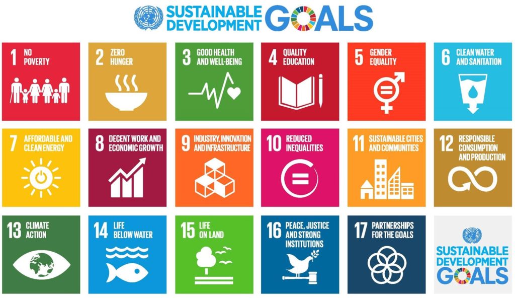 The UN Sustainable Development Goals